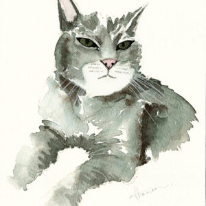 dipinto acquerello - gattino - animale - grigio - occhi verdi