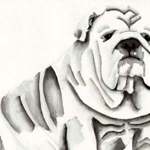 dipinto acquerello - cane grigio - animale domestico