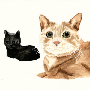 dipinto acquerello - felino - due gatti - uno nero altro caramello