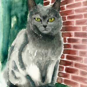 acquerello-gatto-Certosino-silver-gray-colore grigio